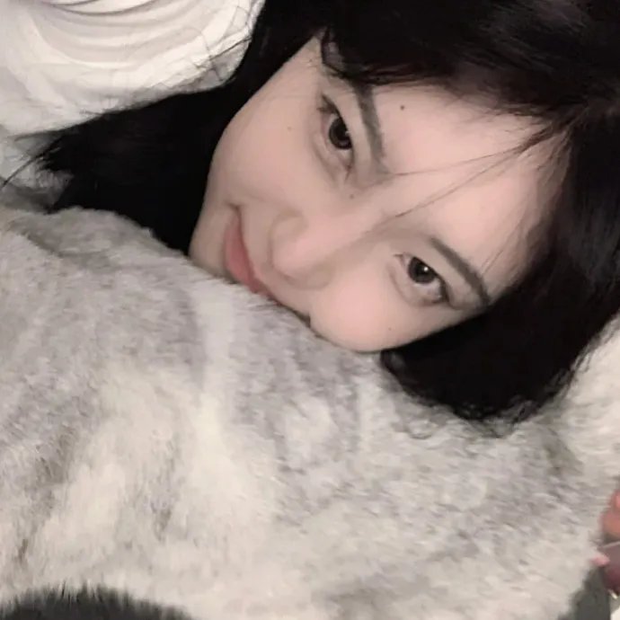 九一一事件簿